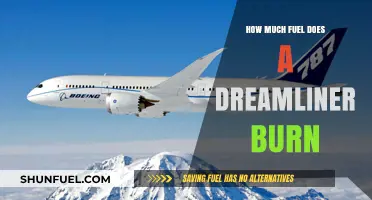 Dreamliner Fuel Efficiency: Burning Less, Flying Farther