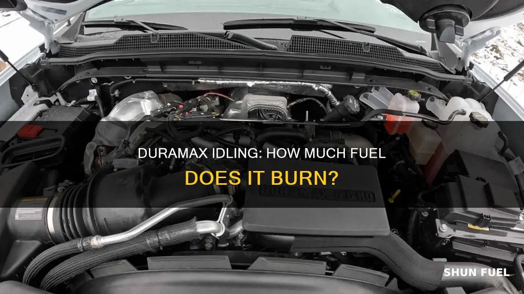 how much fuel does a duramax burn at idle