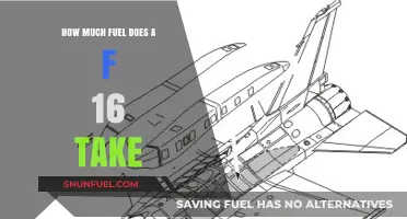 The F-16's Fuel Consumption: How Much Does It Need?