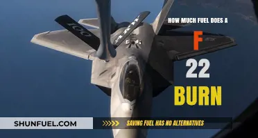 Fuel Efficiency of F-22 Raptors: Burning Questions Answered