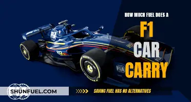 F1 Car Fuel Efficiency: How Much Do They Carry?