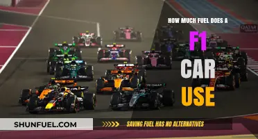 F1 Fuel Consumption: How Much Gas Powers a Race Car?