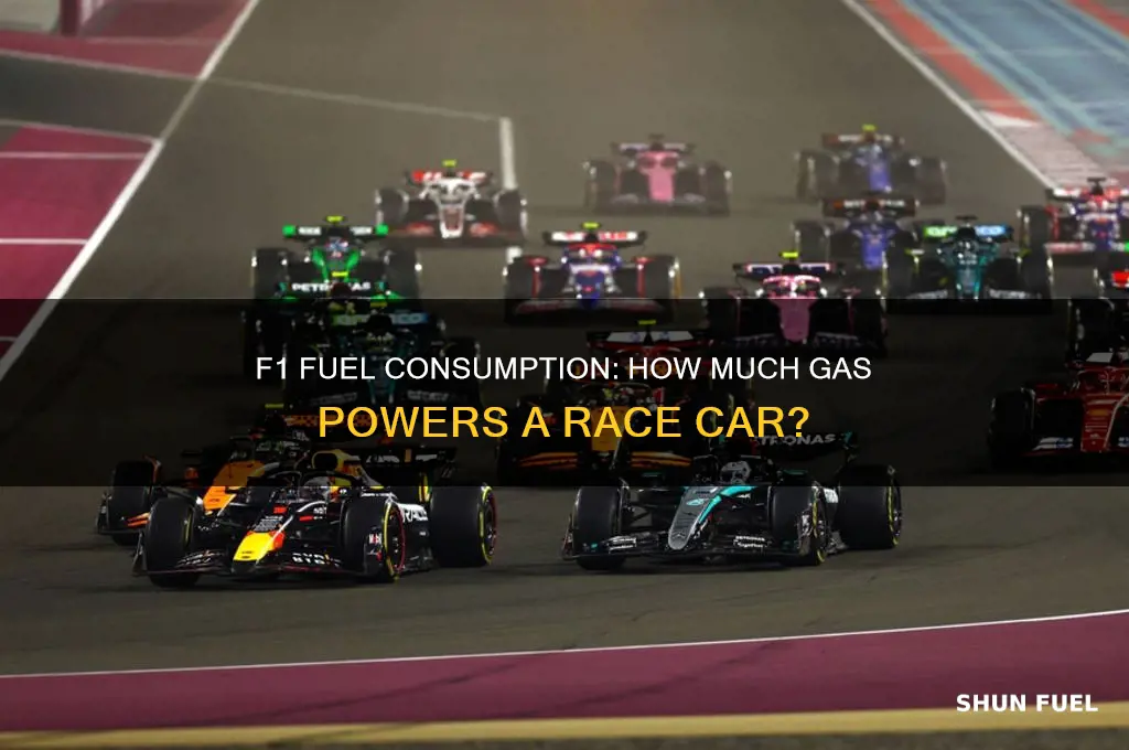 how much fuel does a f1 car use