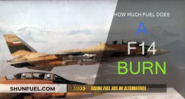 Fuel Consumption of an F-14: Burning Questions Answered