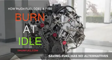 Ford F-150 Fuel Consumption: Burning at Idle