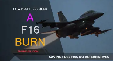The F-16's Fuel Consumption: Burning Up the Skies