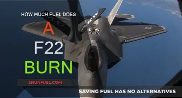 F-22 Fuel Consumption: Burning Up the Skies