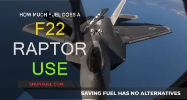 The F-22 Raptor's Fuel Consumption Secrets