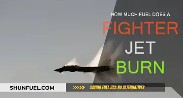 Fighter Jets: Burning Fuel at an Astonishing Rate