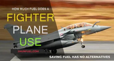 Fighter Jets: Fuel Consumption and Costs