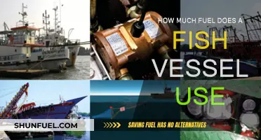 Fuel Consumption of Fishing Vessels: How Much?