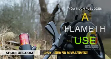Flamethrowers: Fuel Consumption and the Art of Firebreathing