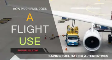 Fuel Efficiency: How Airlines Save on Flight Fuel Costs