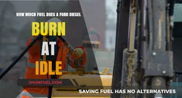 Ford Diesel Idling: How Much Fuel Does It Burn?