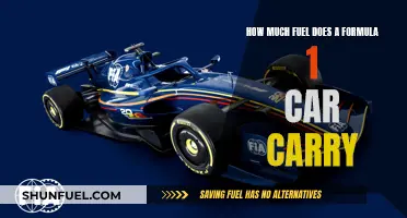 Fuel Efficiency: Formula 1 Car's Fuel Capacity Secrets