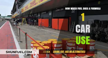 Formula 1 Fuel Consumption: How Much Gas Powers a Race?