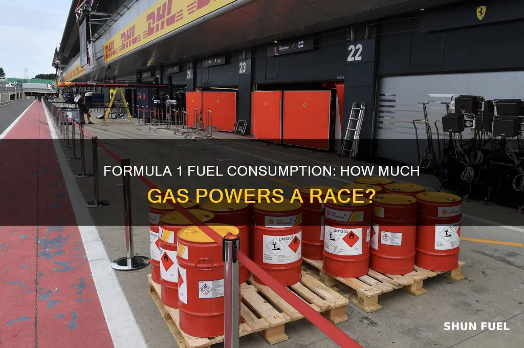 how much fuel does a formula 1 car use