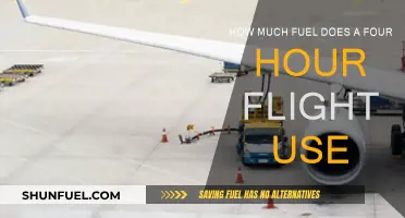 Fuel Consumption: Understanding Four-Hour Flight Requirements