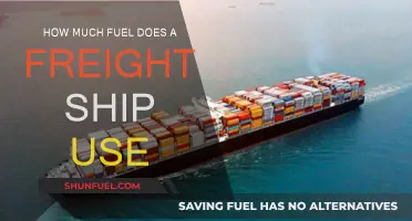 The Fuel Consumption of Freight Ships Explored