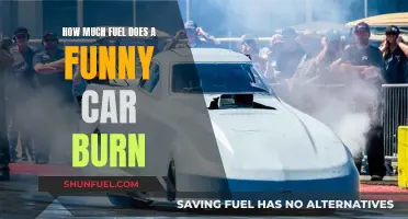Fuel Consumption of a Funny Car: Burning Rubber Passionately