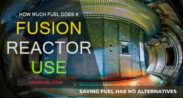 Fusion Reactors: Fuel Efficiency and Energy Output