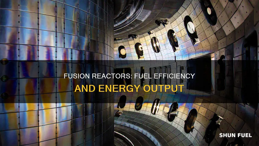 how much fuel does a fusion reactor use