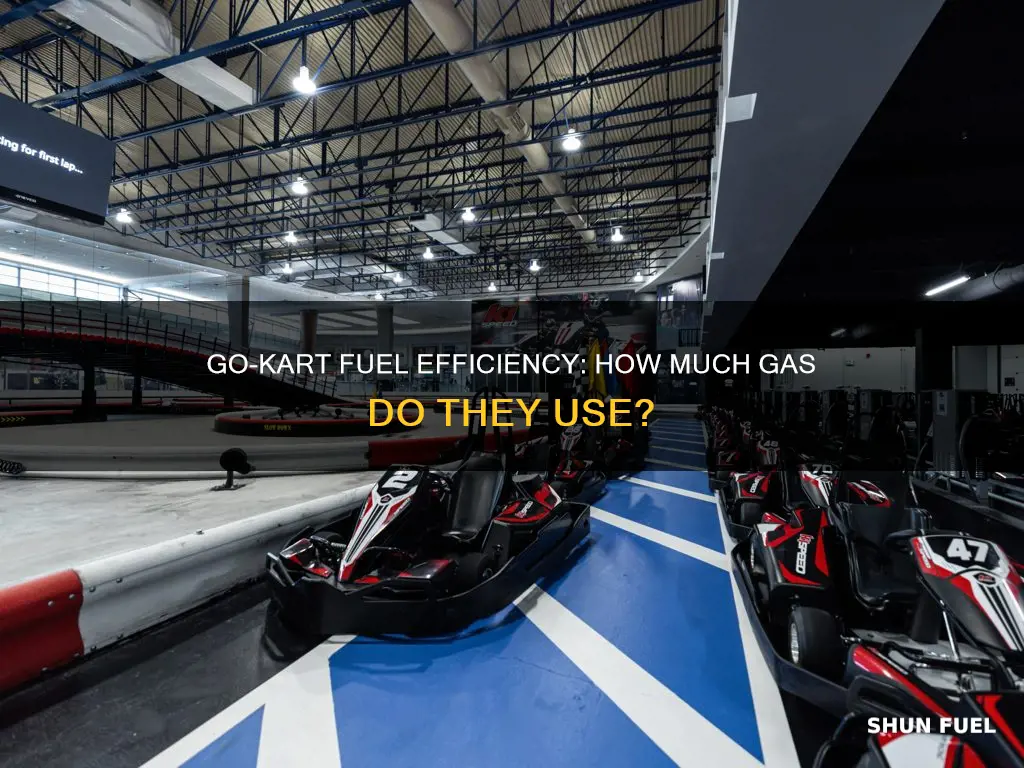 how much fuel does a go kart use