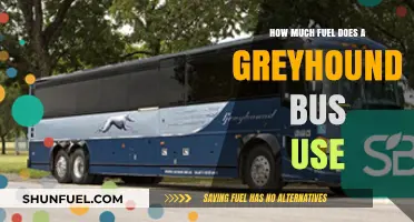 Greyhound Bus Fuel Consumption: How Much Does It Really Use?