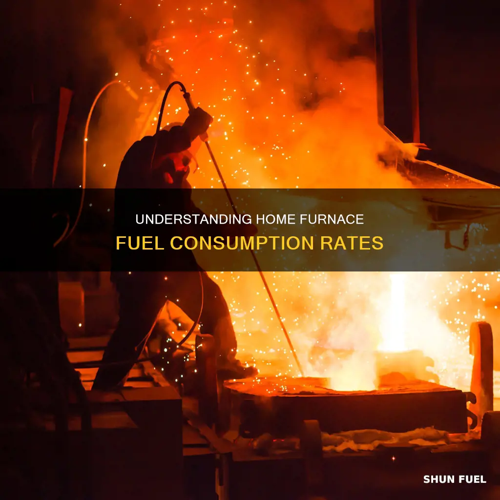 how much fuel does a hime furnace use per hour