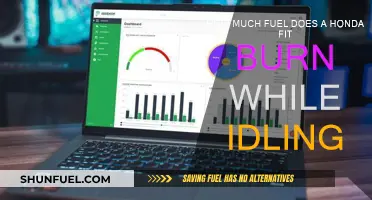 Idling Fuel Consumption of Honda Fit: How Much?