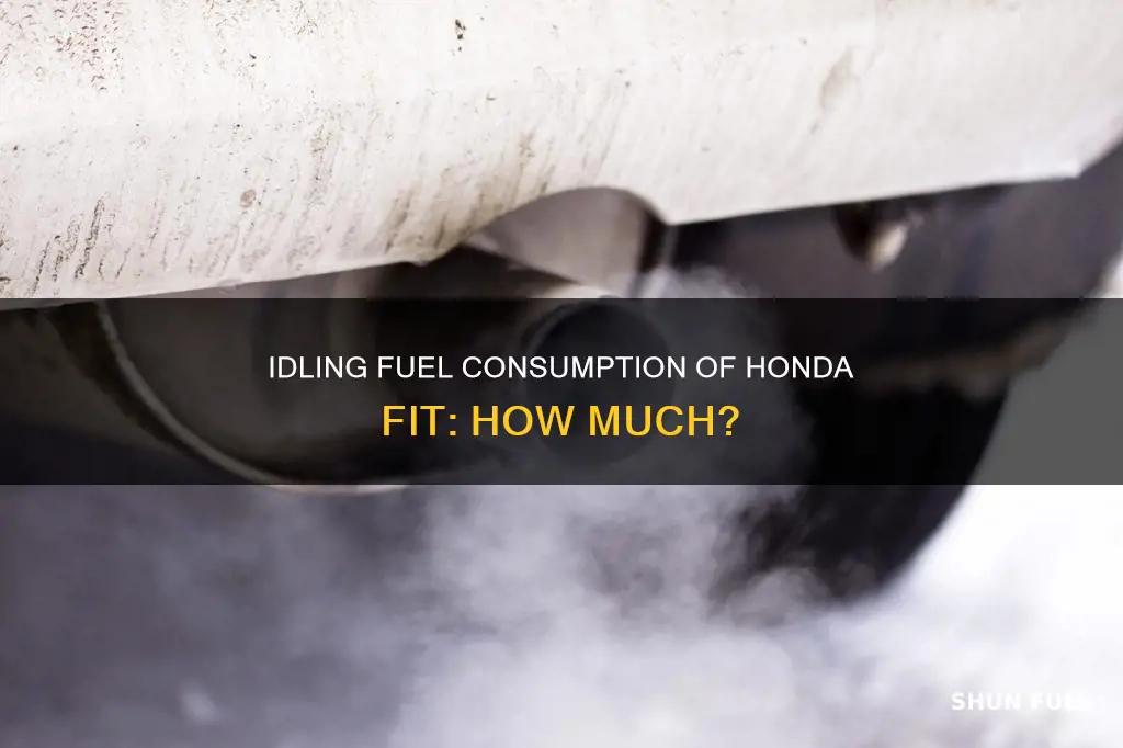 how much fuel does a honda fit burn while idling