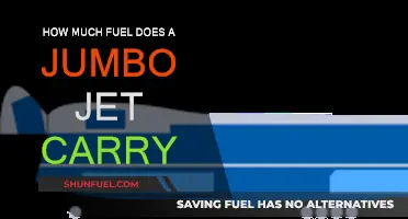 Jumbo Jet Fuel Efficiency: How Much Fuel Do They Carry?