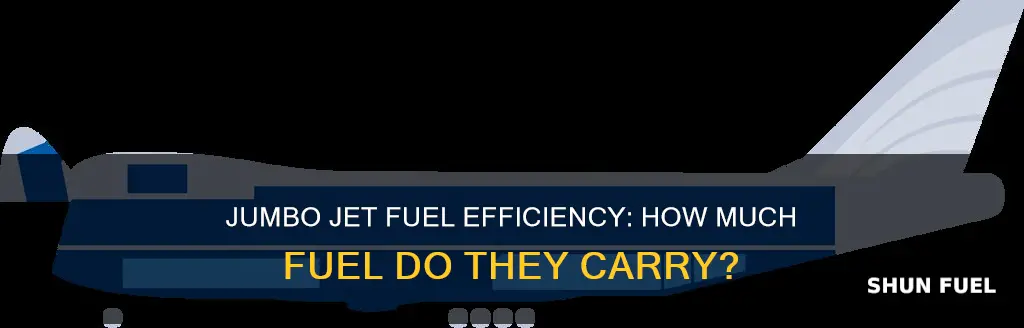 how much fuel does a jumbo jet carry