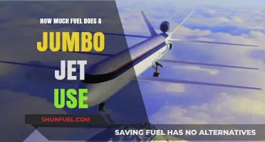 Jumbo Jet Fuel Consumption: Understanding the Cost and Efficiency