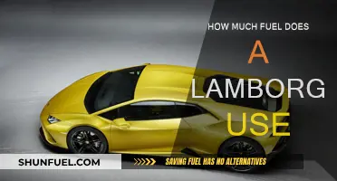 Lamborghini Fuel Efficiency: How Much Gas Does it Guzzle?