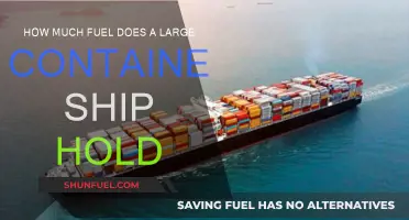 The Fuel Consumption of Container Ships