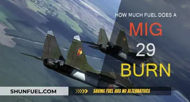 Fuel Efficiency of the Mig 29 Fighter Jet