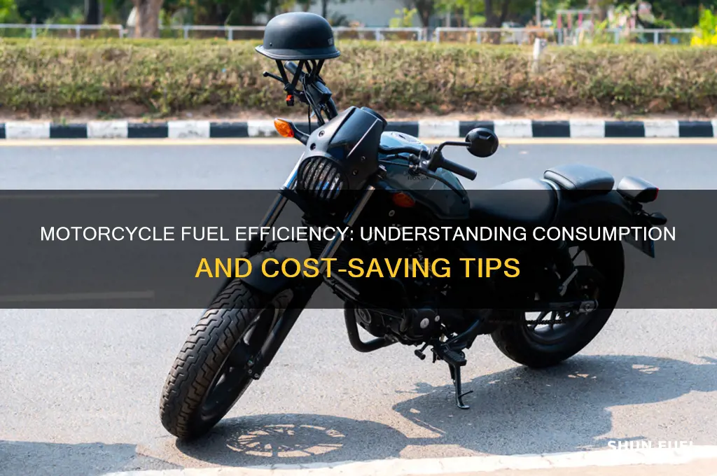 how much fuel does a motorcycle use