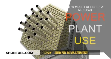Nuclear Power Plants: Fuel Efficiency and Consumption