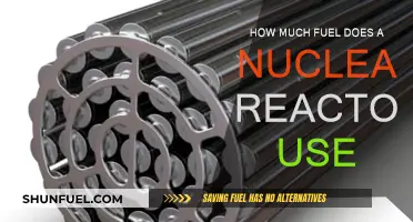 Nuclear Power: Fuel Efficiency of Reactors
