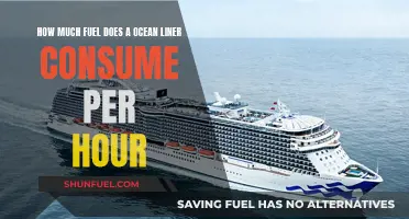 Ocean Liners: Hourly Fuel Consumption Explored
