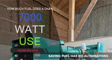 Onan 7000 Watt Generators: Fuel Consumption and Efficiency