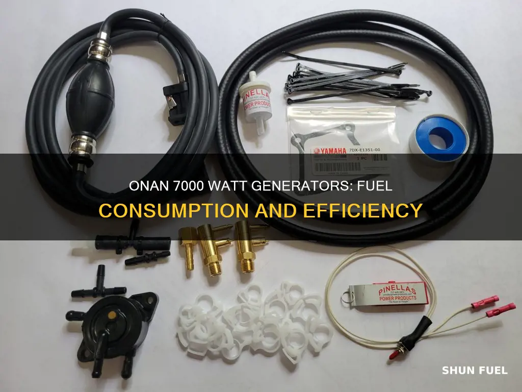 how much fuel does a onan 7000 watt use