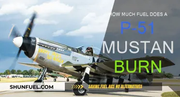 Fuel Consumption of the Iconic P-51 Mustang