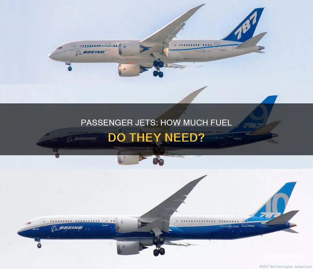 how much fuel does a passenger jet carry