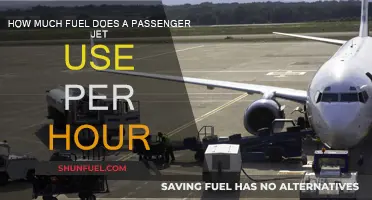 Fuel Consumption of Passenger Jets: Hourly Breakdown