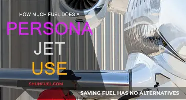 Personal Jet Fuel Efficiency: How Much is Consumed?