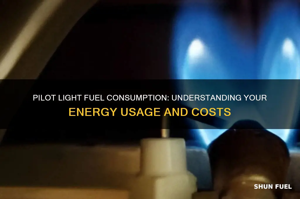 how much fuel does a pilot light use