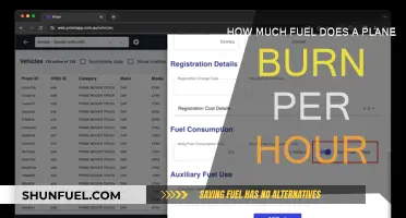 Fuel Consumption: Planes Burning Fuel, By the Hour