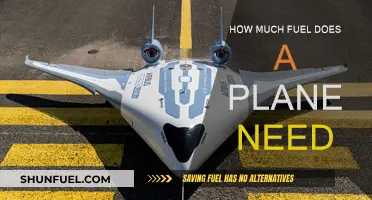Fuel Consumption: How Much Does a Plane Need?